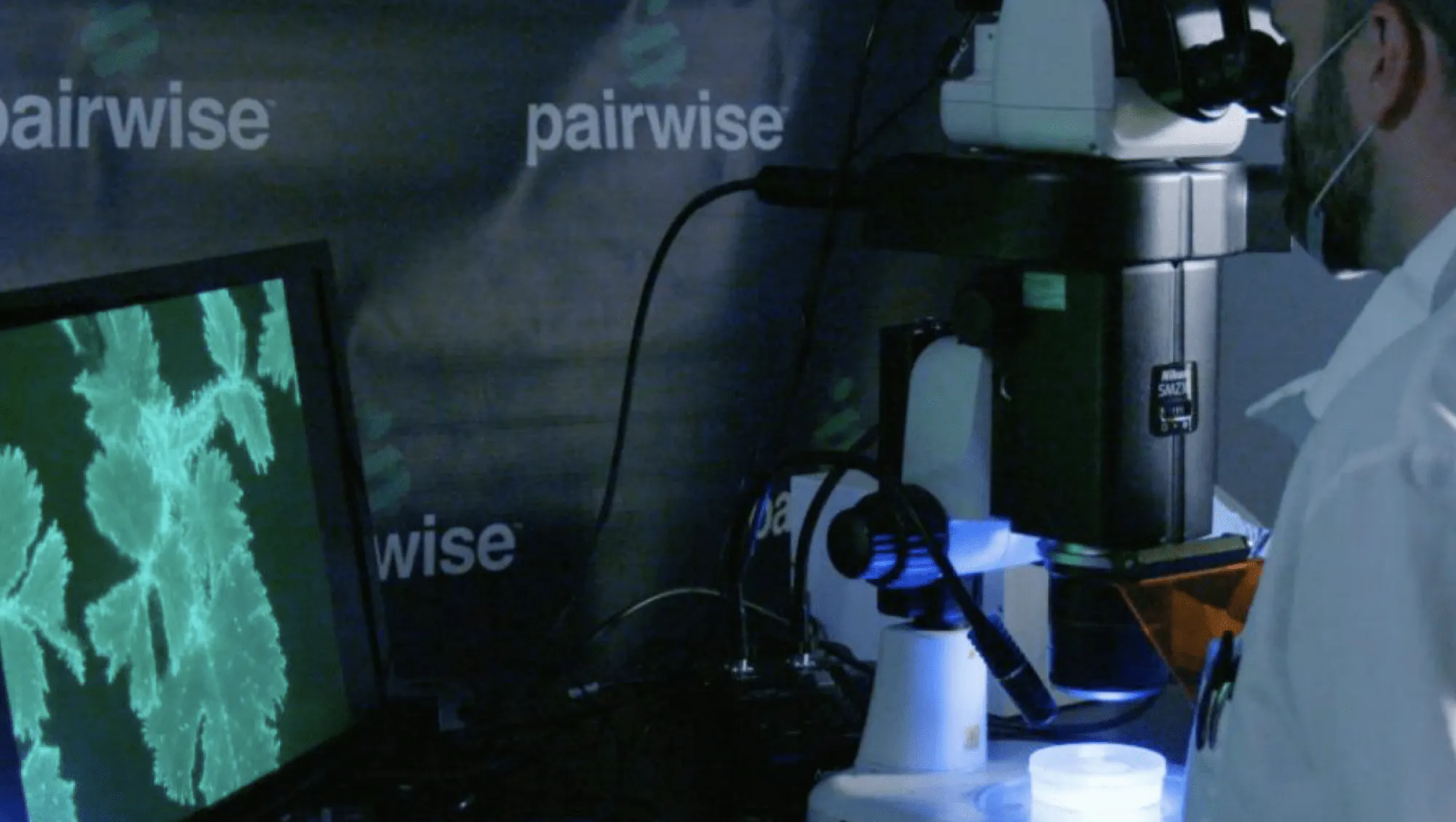 Pairwise analytics pipeline for R&D