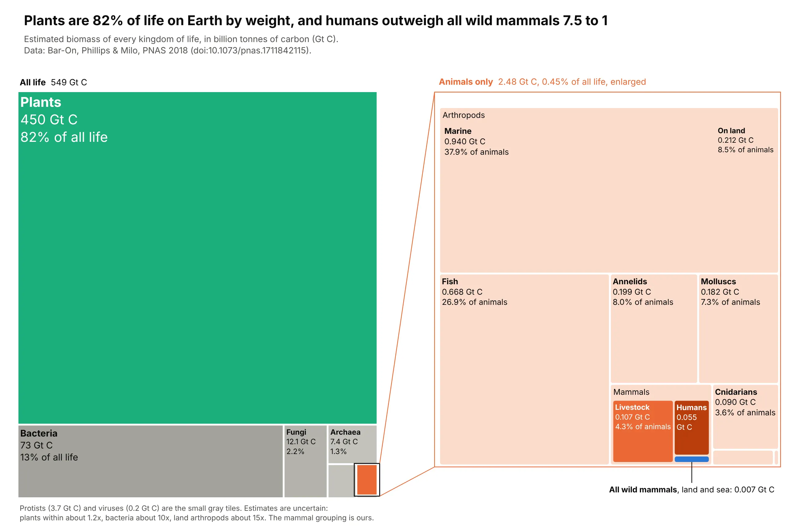 Two treemaps of the estimated biomass of all life on Earth. On the left, plants fill 82% of the area (450 of 549 billion tonnes of carbon), with bacteria, fungi, archaea and protists in gray and a small orange animal tile outlined. Lines lead from that tile to an enlarged treemap of animals only (2.48 Gt C), where marine arthropods and fish are the largest tiles, livestock (0.107) and humans (0.055) are orange, and all wild mammals (0.007) are a thin blue sliver