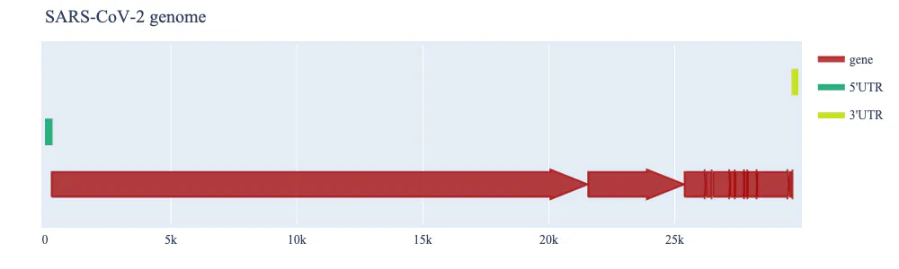 sars cov2 genome