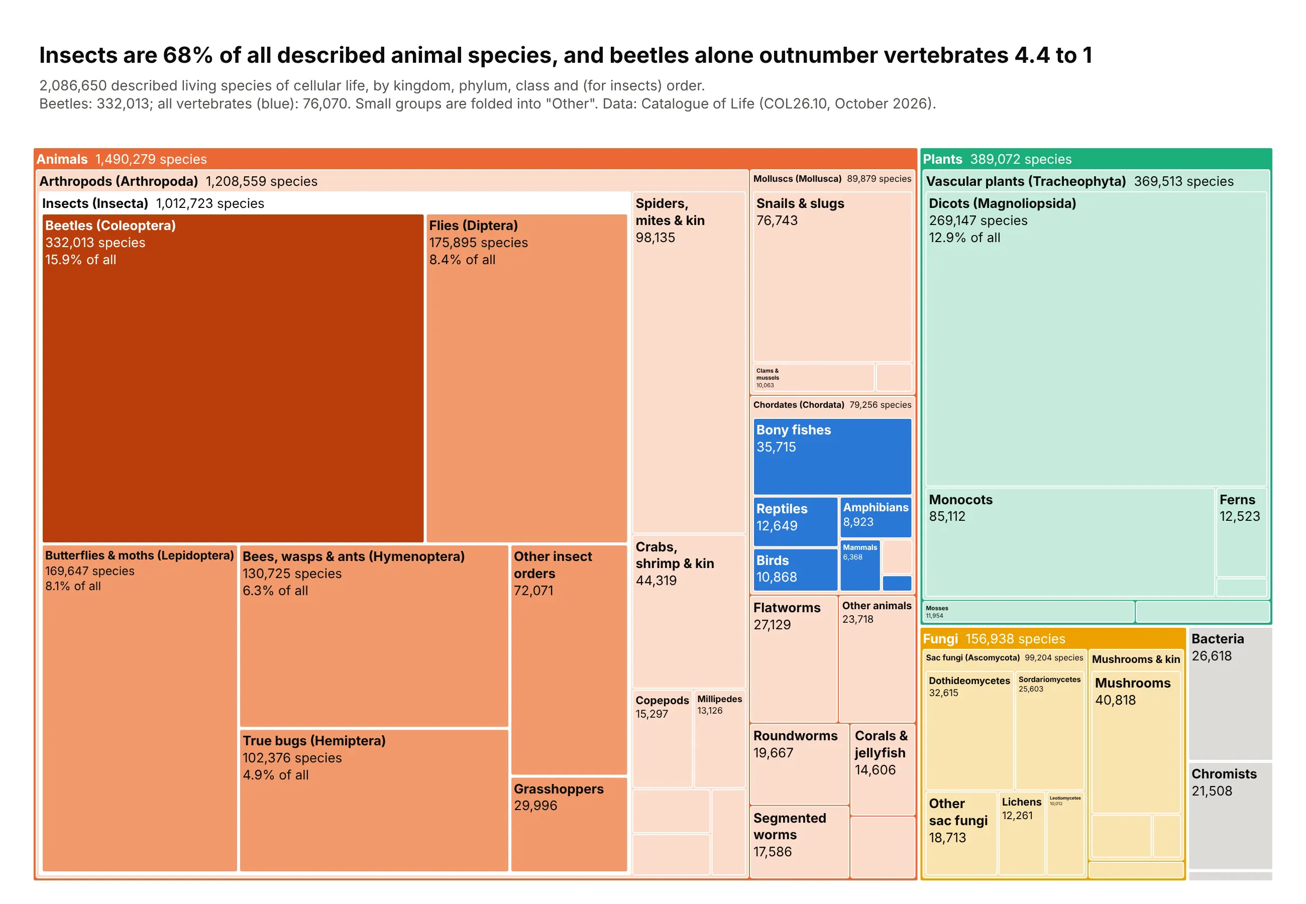 Treemap of 2,086,650 described living species by kingdom, phylum, class and insect order. Animals fill about 70% of the area and insects (1,012,723 species) take most of it; the dark orange beetle tile (332,013 species) is the largest single tile and more than four times the size of the small blue vertebrate block (76,070 species), which includes mammals at 6,368