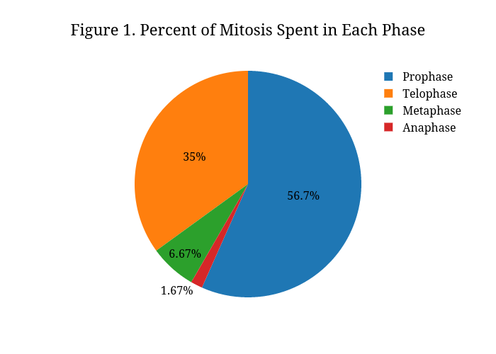 Mitosis Pie Chart