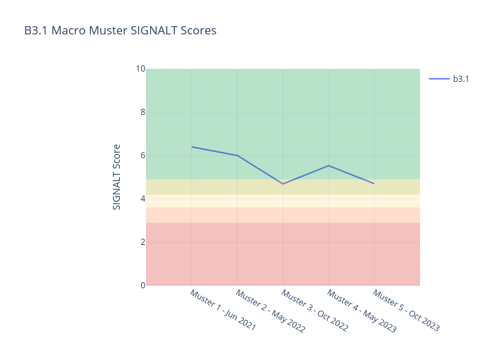 B3.1 Macro Muster SIGNALT Scores