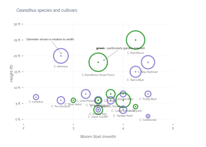 Ceanothus species and cultivars |  made by An3perez | plotly