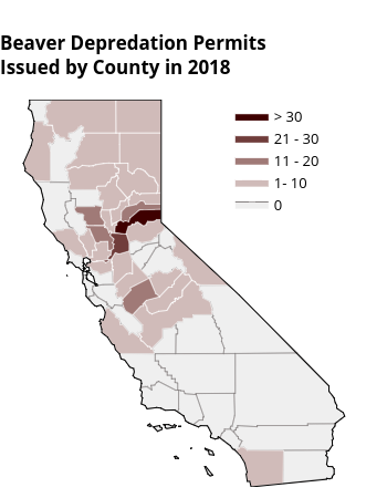 Beaver Depredation Permits Issued by County in 2018 | filled line chart made by Emilyfairfax | plotly