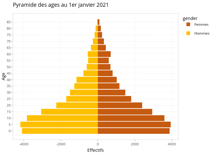 Pyramide des ages au 1er janvier 2021 |  made by Ird.systech | plotly