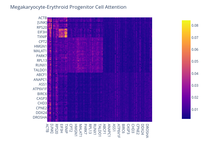Megakaryocyte-Erythroid Progenitor Cell Attention | heatmap made by Markovbio | plotly