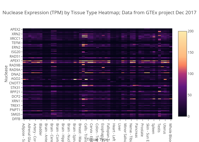 Nuclease Expression (TPM) by Tissue Type Heatmap; Data from GTEx project Dec 2017 | heatmap made by Mchiment | plotly