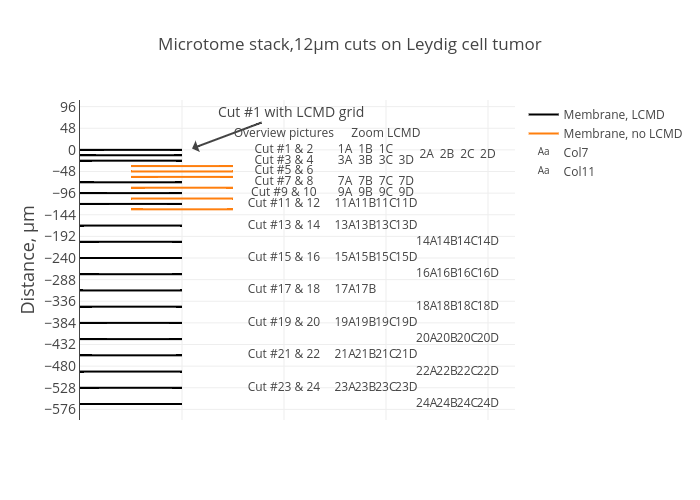 Microtome stack,12&mu;m cuts on Leydig cell tumor | scatter chart made by Peroe | plotly