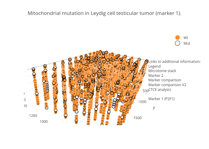 Mitochondrial mutation in Leydig cell testicular
tumor (marker 1). | scatter3d made by Peroe | plotly