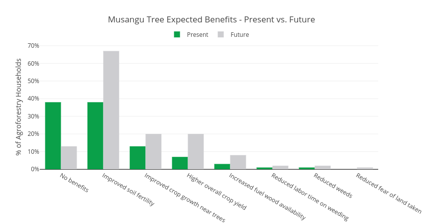 Musangu Tree Expected Benefits - Present vs. Future | grouped bar chart made by Usaidtgcc | plotly